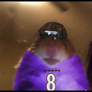 Meet your Posher, Josh